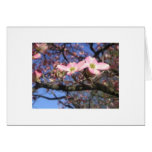 Dogwood Tree Notecard