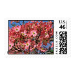 Dogwood tree Pink flowers Stamps