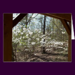 Dogwood Vista