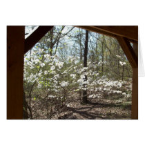 Dogwood Vista cards by releeconsulting Dogwood Vista cards