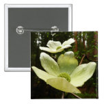 Dogwoods and Redwoods Button