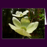 Dogwoods and Redwoods Card