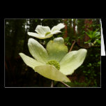 Dogwoods and Redwoods Card