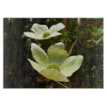 Dogwoods and Redwoods Glass Cutting Board