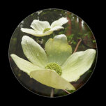 Dogwoods and Redwoods Magnet