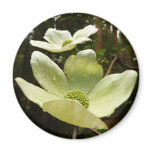 Dogwoods and Redwoods Magnet