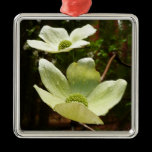 Dogwoods and Redwoods Ornament