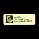 Dogwoods and Redwoods Return Address Label