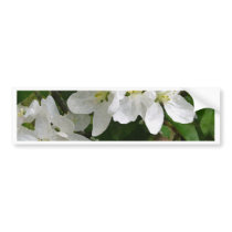 Dogwoods bumper stickers by dusenbergart Dogwoods bumper stickers