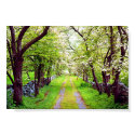 dogwoods in bloom posters