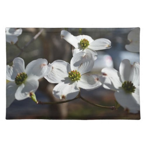 Dogwoods with Soft Light Placemat placemat