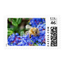 Dohr Street Bee Postage Stamps