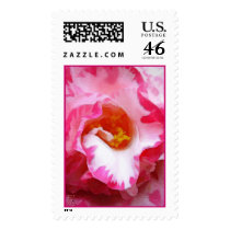 dolce fiore - stamp