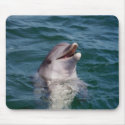 Dolfin mousepads