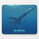 Dolichorhynchops mousepads