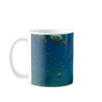 Dolichorhynchops mugs