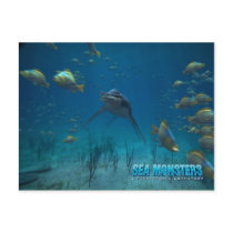 Dolichorhynchops postcards by seamonsters Dolichorhynchops postcards