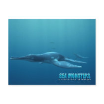 Dolichorhynchops postcards by seamonsters Dolichorhynchops postcards