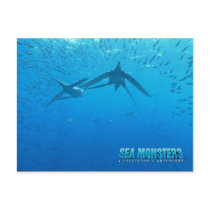 Dolichorhynchops postcards by seamonsters Dolichorhynchops postcards