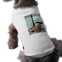 Doll on Four Poster Bed petshirt