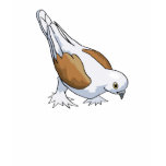 Dolly Dove Tee Shirt