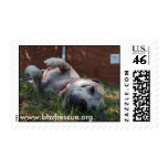 Dolly Linda Stamps