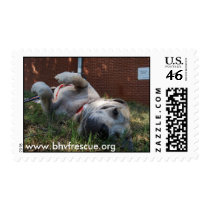 Dolly Linda Stamps