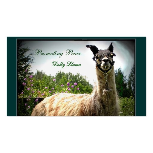 Dolly Llama Busininess Cards Business Card Templates