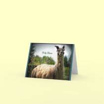 Dolly Llama Notecards