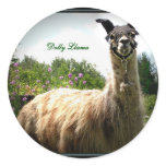 Dolly Llama Stickers *U Make It*