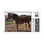 DOLLY THE BELGIAN POSTAGE BODY