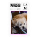 Dolly's my Name Postage stamp