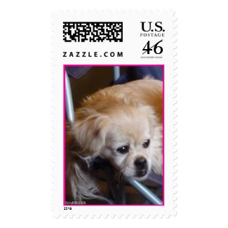 Dolly's my Name Postage stamp
