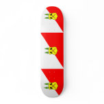 Dolni Dvur Cz, Czech Republic skateboards