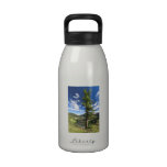 Dolomías - árbol sobre el valle botellas de beber
