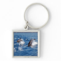 Dolphin Adventure Key Chain