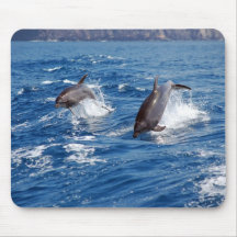 Dolphin Adventure Mousepad