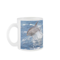 Dolphin Adventure Mug