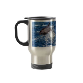 Dolphin Adventure mug