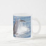Dolphin Adventure Mug