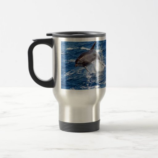 Dolphin Adventure Mugs