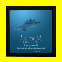 Dolphin and Baby gift boxes