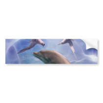 Dolphin and diving birds bumper stickers