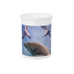 Dolphin and diving birds pitchers
