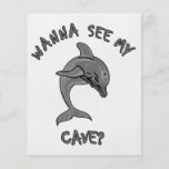 Dolphin Assault Cave Flyer