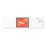Dolphin at Sunset Bumper Sticker