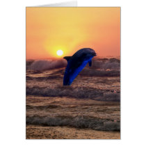 Dolphin at sunset greeting card