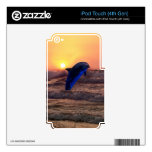 Dolphin at sunset iPod touch 4G decal