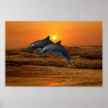 Dolphin at sunset posters