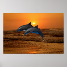 Dolphin at sunset posters
